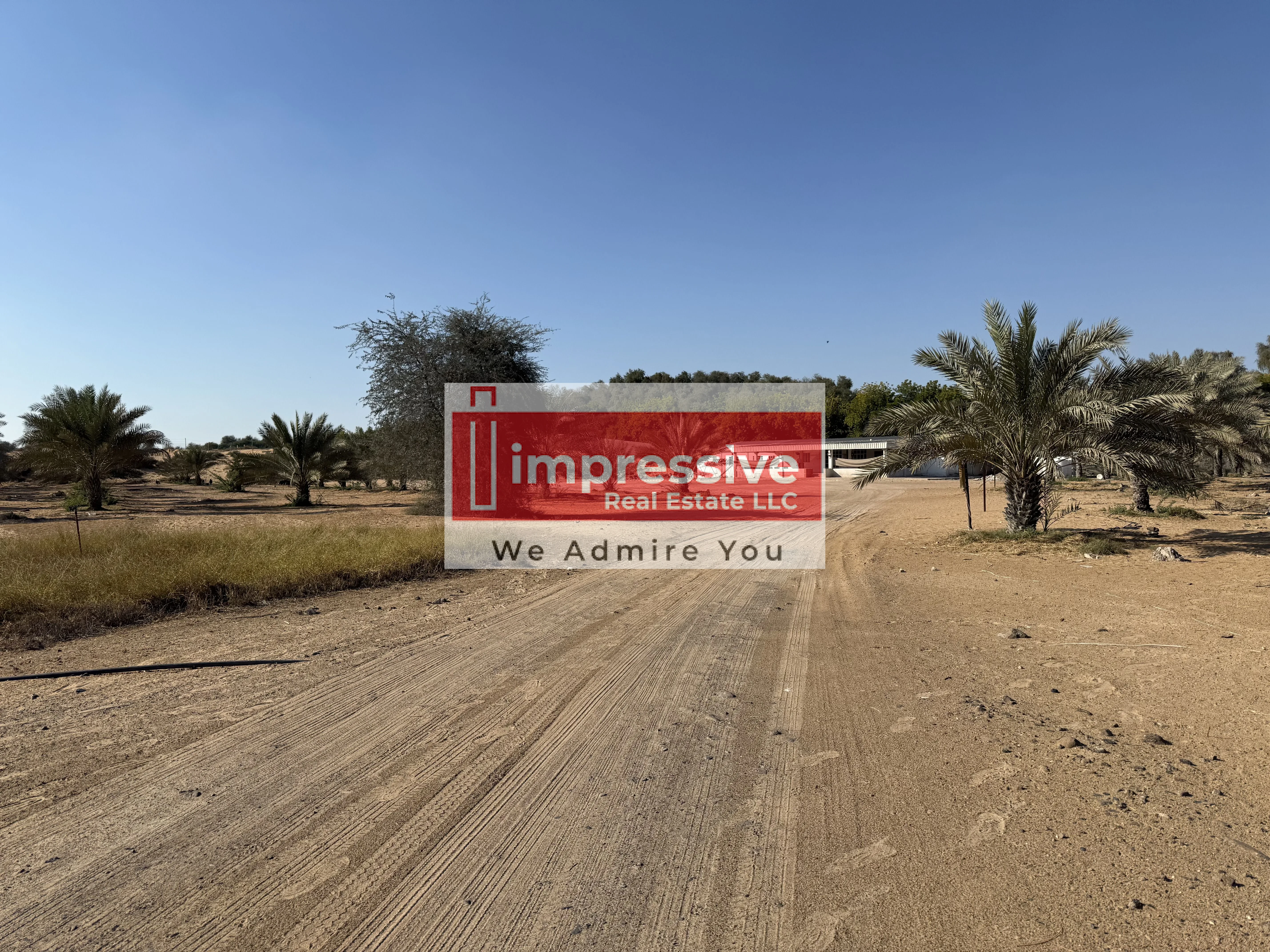 Al Zahya H | Plot | Al Heliow